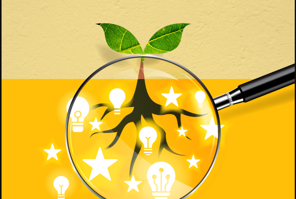 کشف استعداد درونی